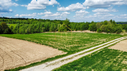 Działka Sprzedaż Łajsce