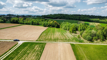Działka Sprzedaż Łajsce