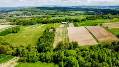 Działka Sprzedaż Łajsce