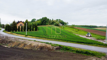 Działka Sprzedaż Chłopice