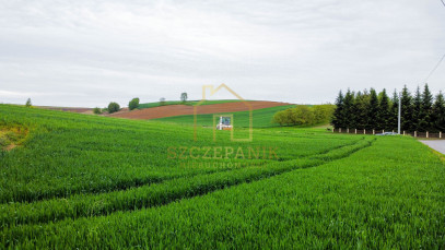 Działka Sprzedaż Chłopice